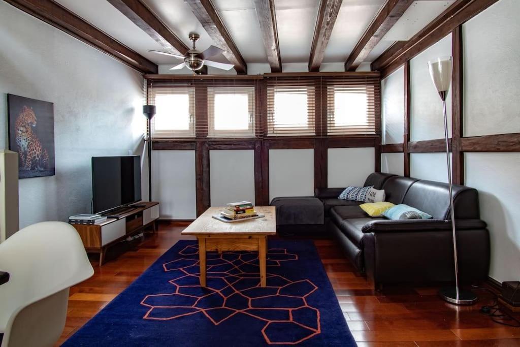 L'Or - Typical Alsacian Apartment In Štrasburk Exteriér fotografie